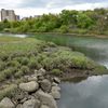Parks Department, Conservationists Release 30-Year Plan To Protect NYC Wetlands